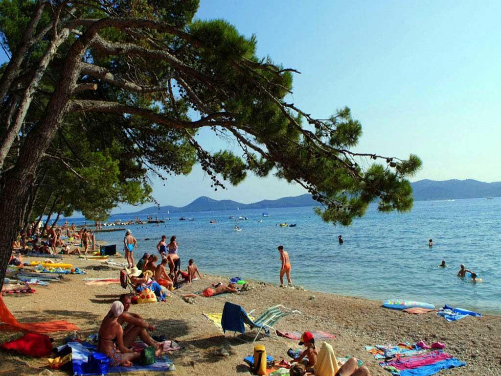 Pine And Lavander Home Biograd Na Moru Eksteriør billede